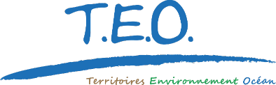 Logo Société TEO